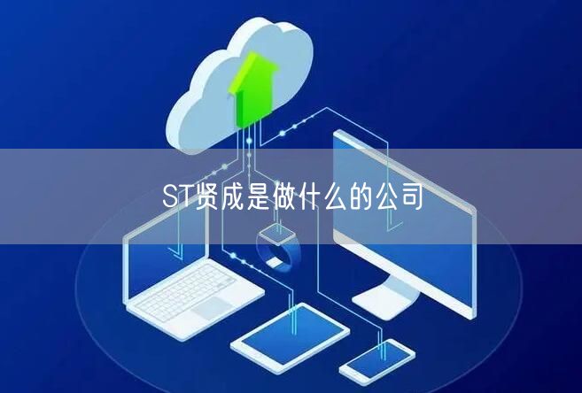ST贤成是做什么的公司