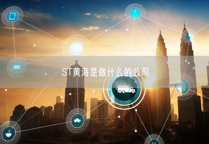 ST黄海是做什么的公司