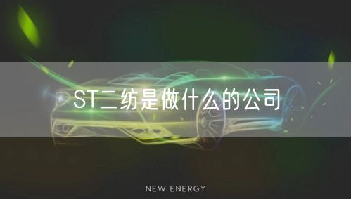 ST二纺是做什么的公司