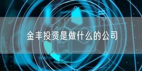 金丰投资是做什么的公司