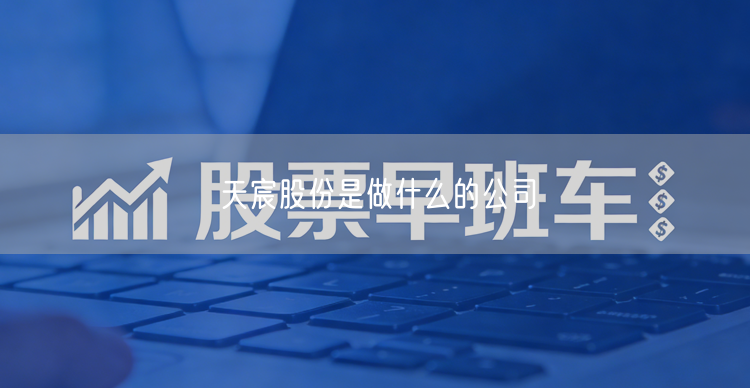 天宸股份是做什么的公司