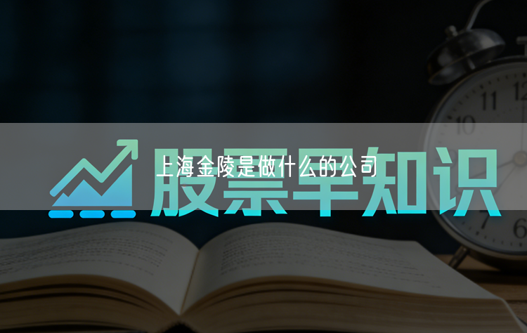 上海金陵是做什么的公司