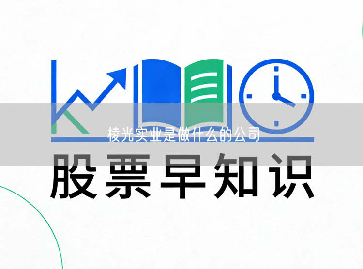 棱光实业是做什么的公司