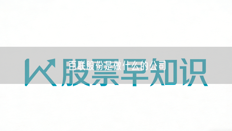 百联股份是做什么的公司