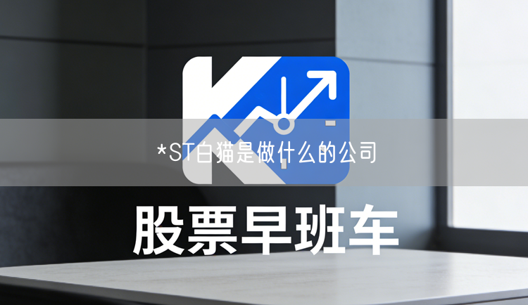 *ST白猫是做什么的公司