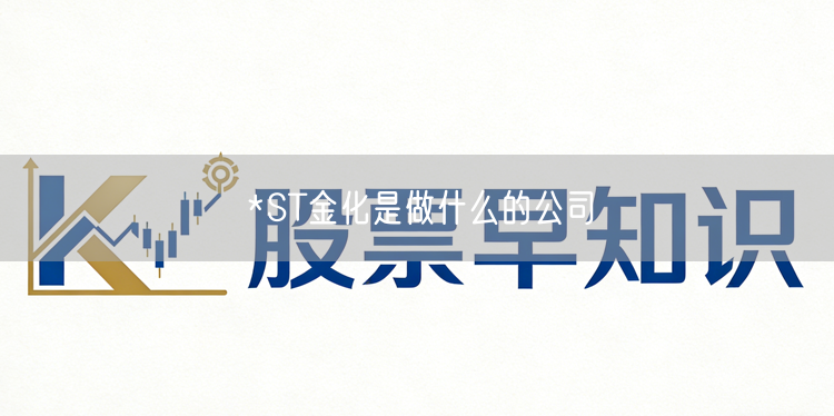 *ST金化是做什么的公司