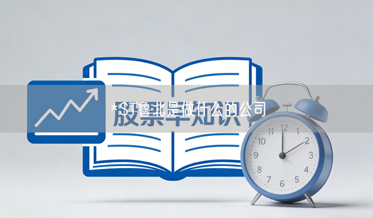 *ST鲁北是做什么的公司