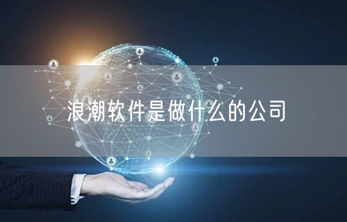 浪潮软件是做什么的公司