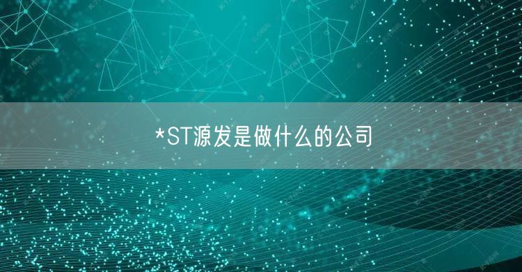*ST源发是做什么的公司