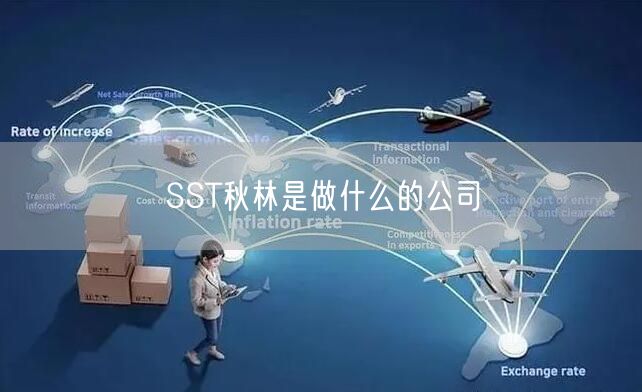 SST秋林是做什么的公司