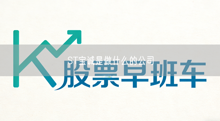ST宝诚是做什么的公司