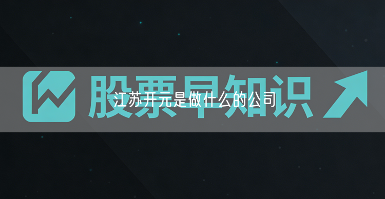 江苏开元是做什么的公司