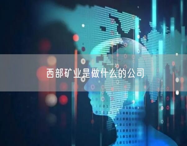 西部矿业是做什么的公司