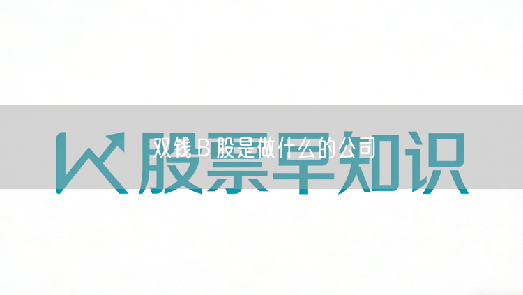 双钱Ｂ股是做什么的公司