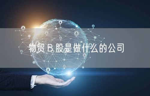物贸Ｂ股是做什么的公司