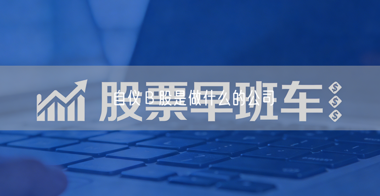 自仪Ｂ股是做什么的公司