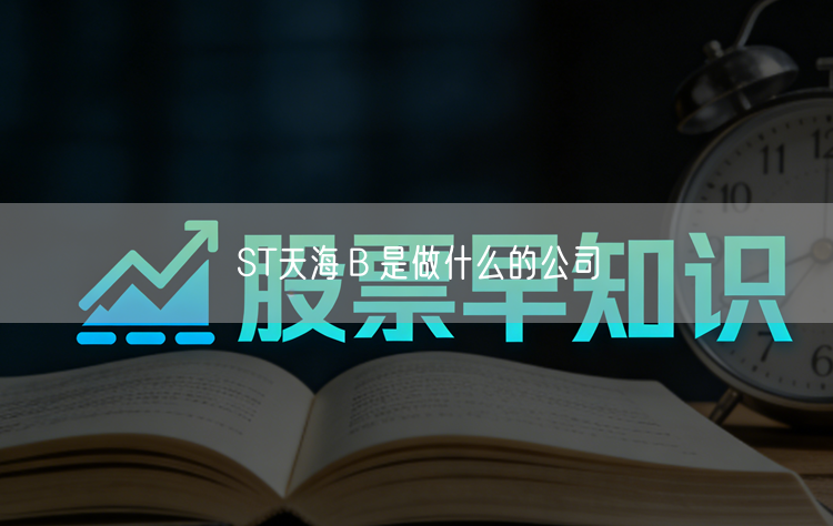 ST天海Ｂ是做什么的公司
