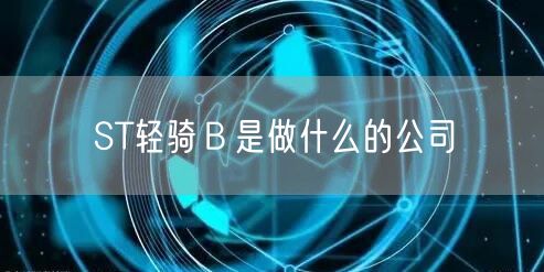 ST轻骑Ｂ是做什么的公司
