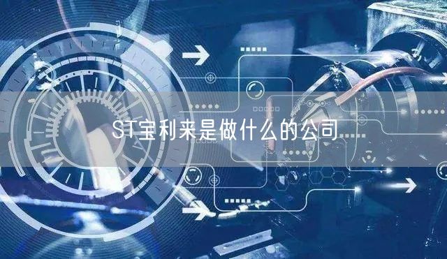 ST宝利来是做什么的公司