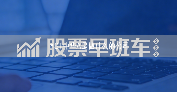 *ST中华A是做什么的公司