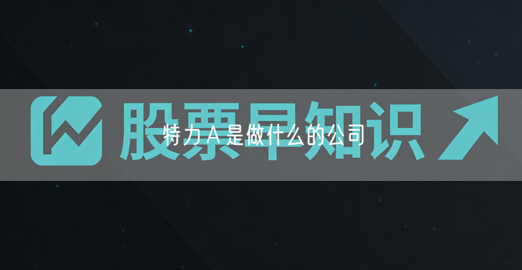 特力Ａ是做什么的公司