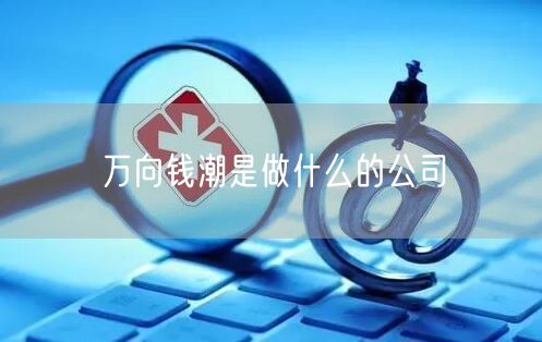 万向钱潮是做什么的公司