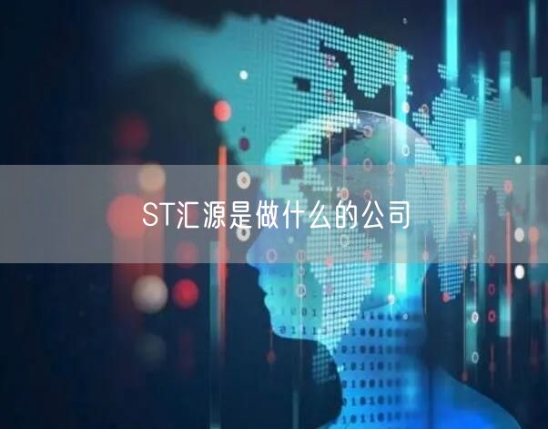 ST汇源是做什么的公司