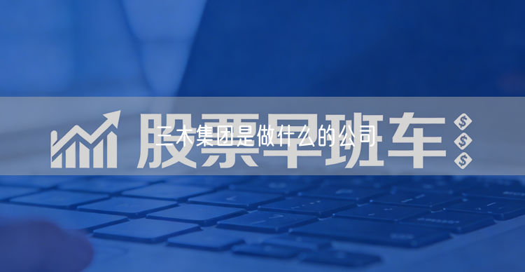 三木集团是做什么的公司