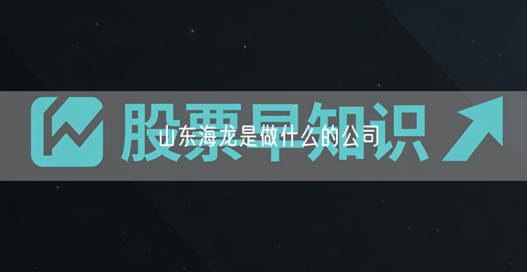 山东海龙是做什么的公司