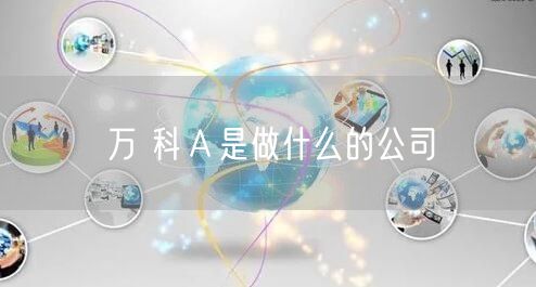 万 科Ａ是做什么的公司