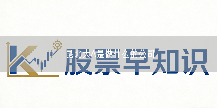 昆北大A是做什么的公司