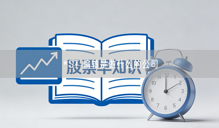 *ST 偏转是做什么的公司