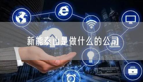 新能泰山是做什么的公司
