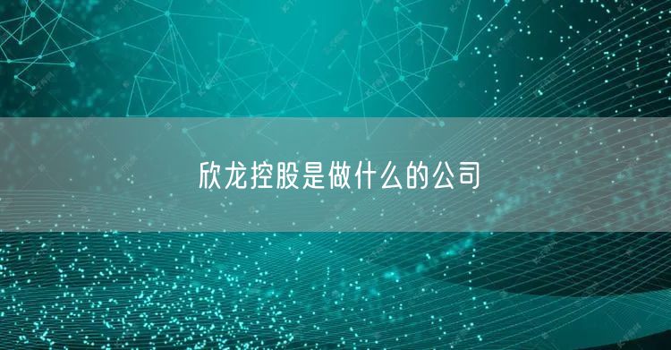 欣龙控股是做什么的公司
