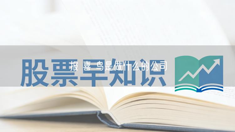 报 喜 鸟是做什么的公司