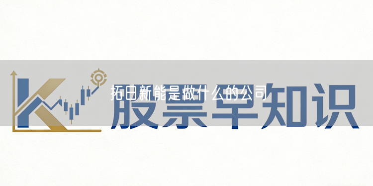 拓日新能是做什么的公司