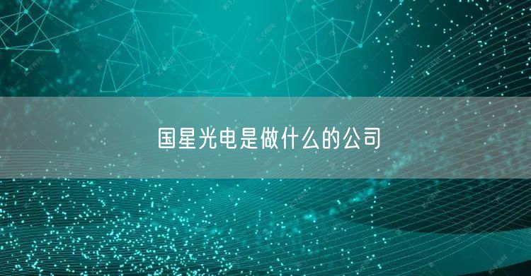 国星光电是做什么的公司