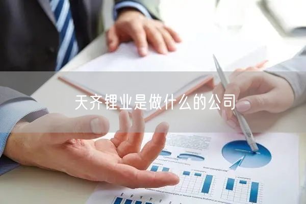 天齐锂业是做什么的公司