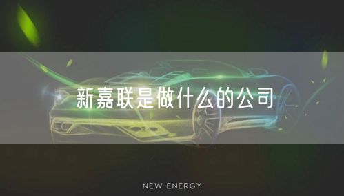 新嘉联是做什么的公司