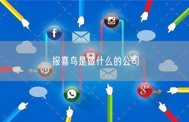 报喜鸟是做什么的公司