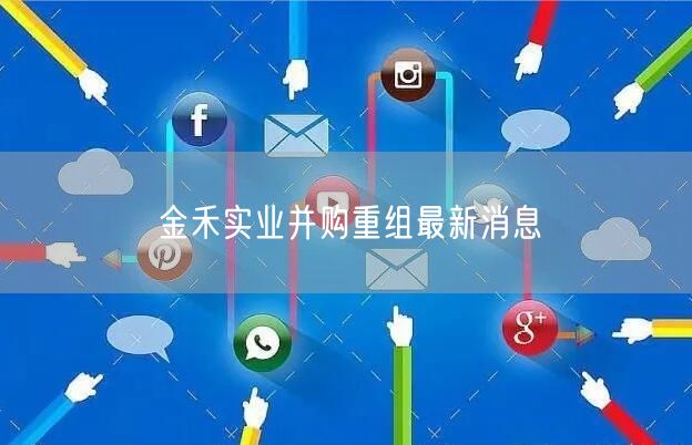 金禾实业并购重组最新消息