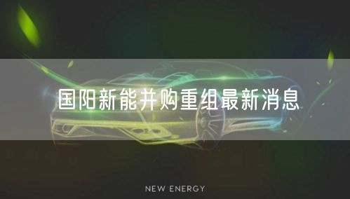 国阳新能并购重组最新消息