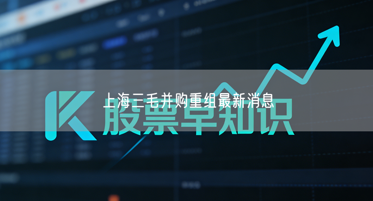 上海三毛并购重组最新消息