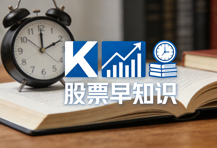 海南椰岛是做什么的公司