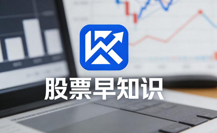 开创国际是做什么的公司